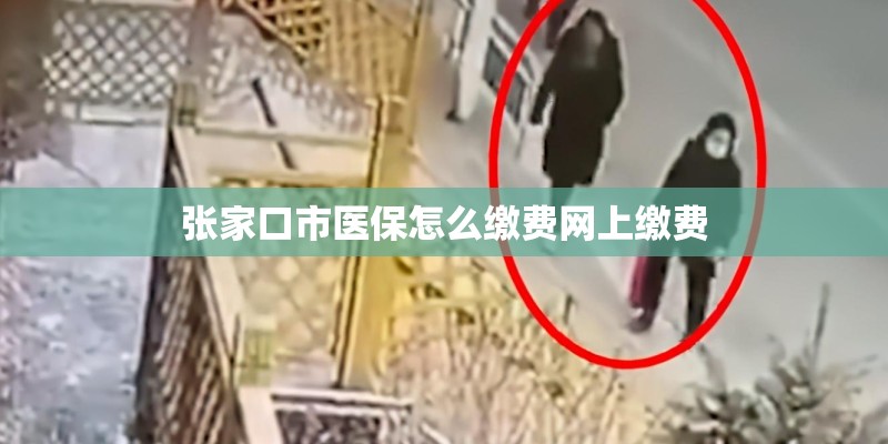 张家口市医保怎么缴费网上缴费
