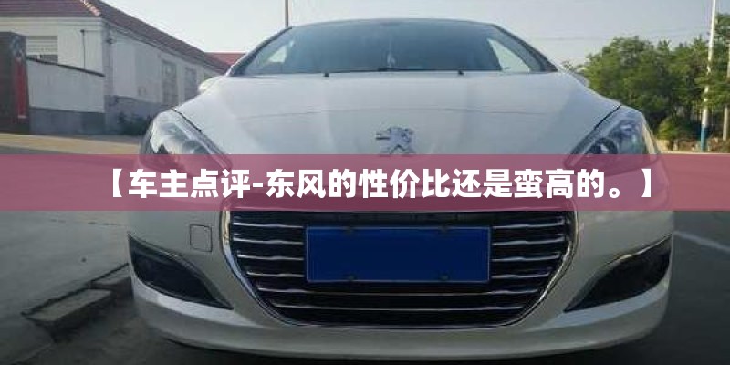 【车主点评-东风的性价比还是蛮高的。】