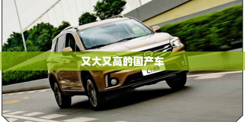 又大又高的国产车