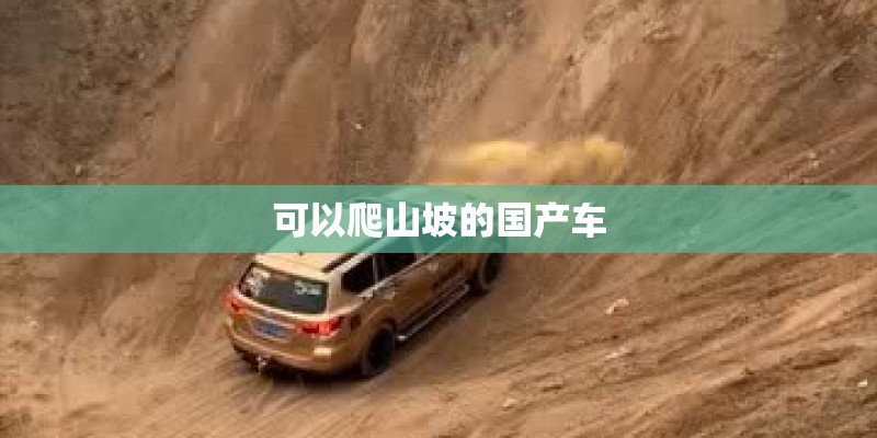 可以爬山坡的国产车