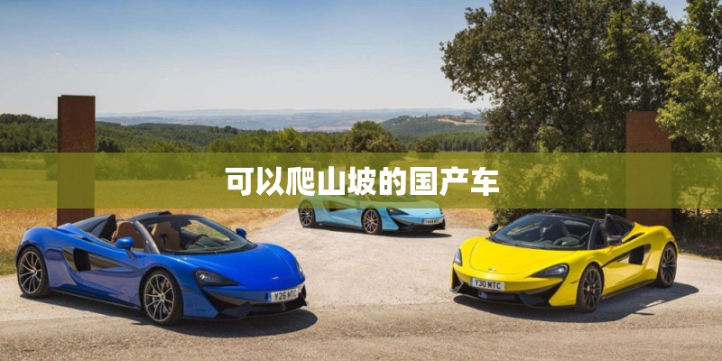 可以爬山坡的国产车