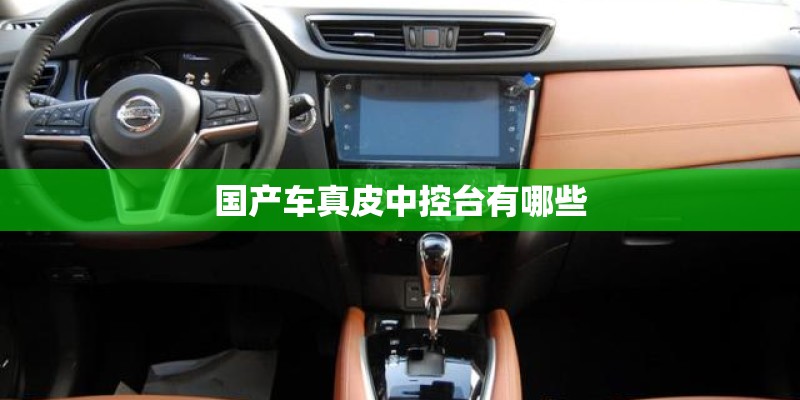国产车真皮中控台有哪些