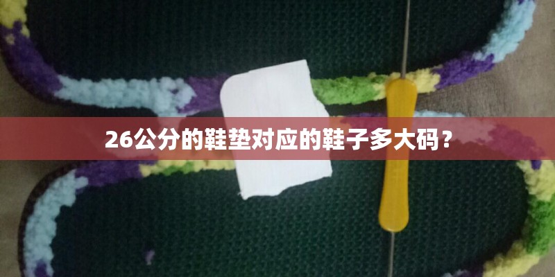 26公分的鞋垫对应的鞋子多大码？