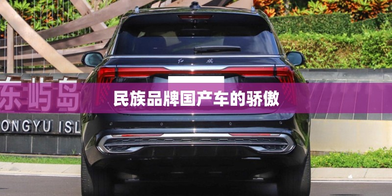 民族品牌国产车的骄傲