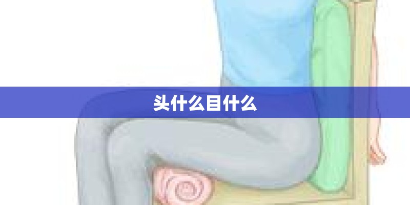 头什么目什么