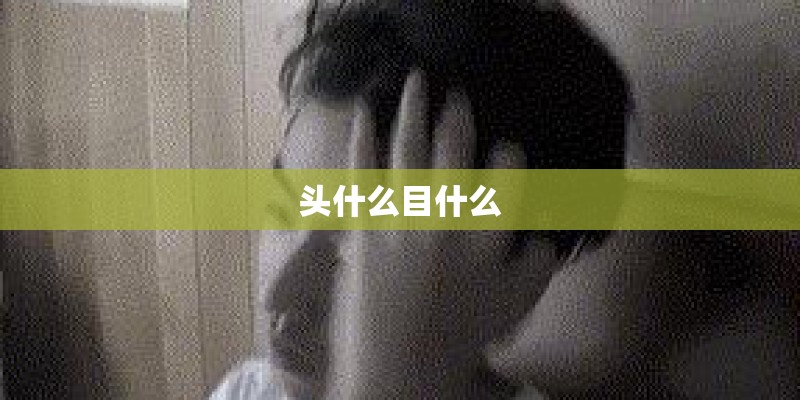 头什么目什么