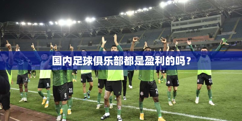 国内足球俱乐部都是盈利的吗？