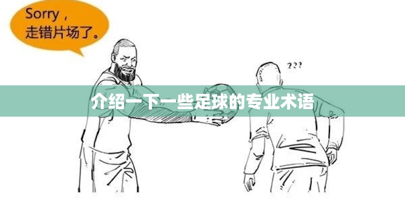 介绍一下一些足球的专业术语