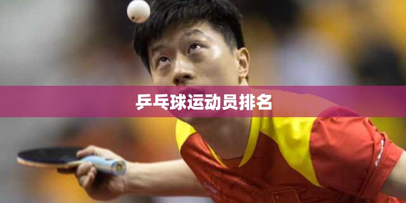 乒乓球运动员排名