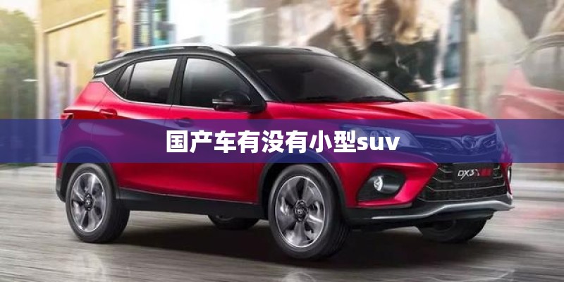 国产车有没有小型suv