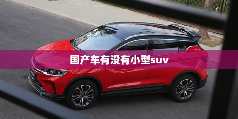 国产车有没有小型suv