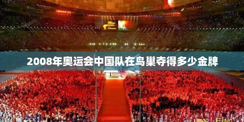 2008年奥运会中国队在鸟巢夺得多少金牌