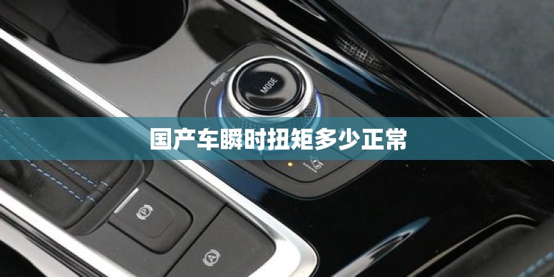 国产车瞬时扭矩多少正常
