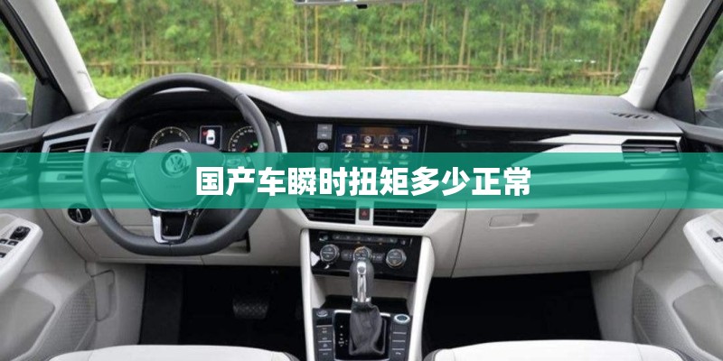 国产车瞬时扭矩多少正常