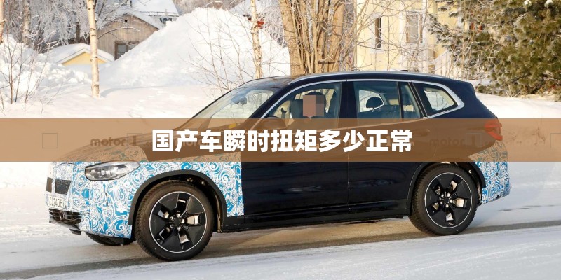 国产车瞬时扭矩多少正常