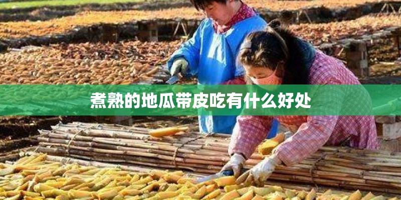 煮熟的地瓜带皮吃有什么好处