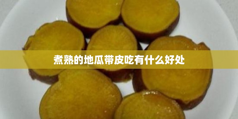 煮熟的地瓜带皮吃有什么好处