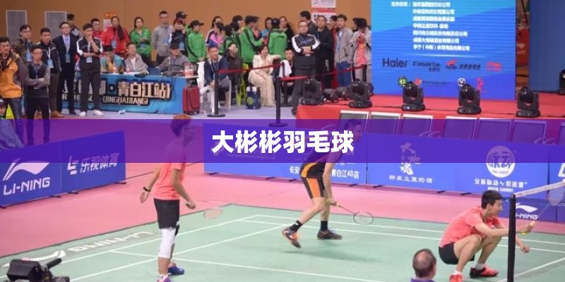 大彬彬羽毛球