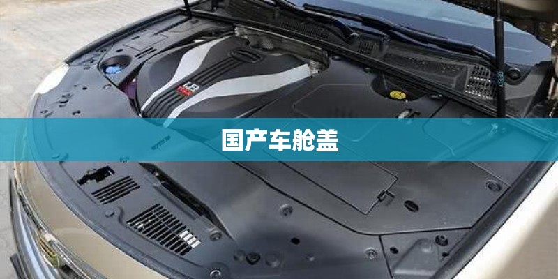 国产车舱盖