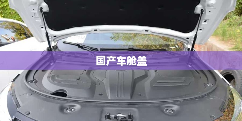 国产车舱盖