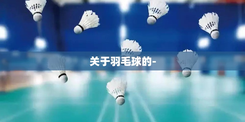 关于羽毛球的-