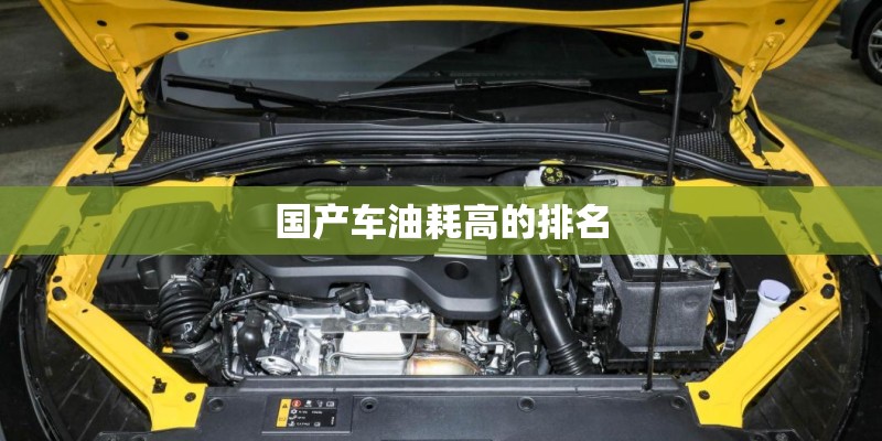 国产车油耗高的排名