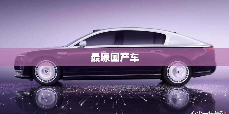 最壕国产车