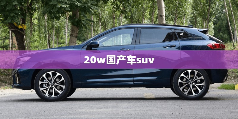 20w国产车suv