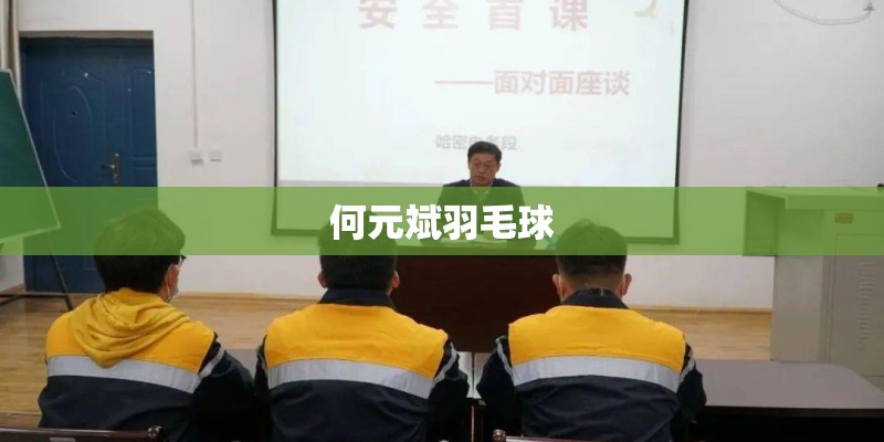 何元斌羽毛球