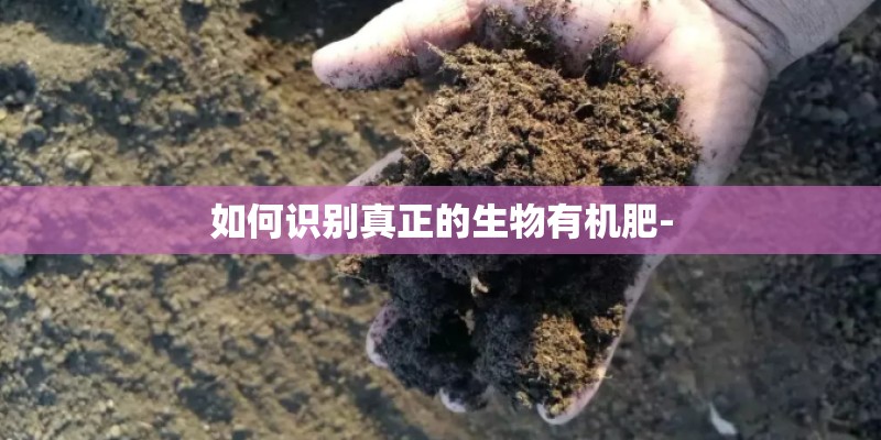 如何识别真正的生物有机肥-