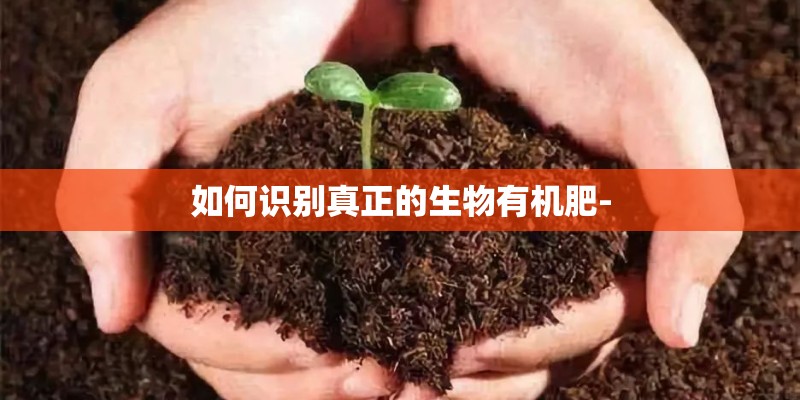 如何识别真正的生物有机肥-