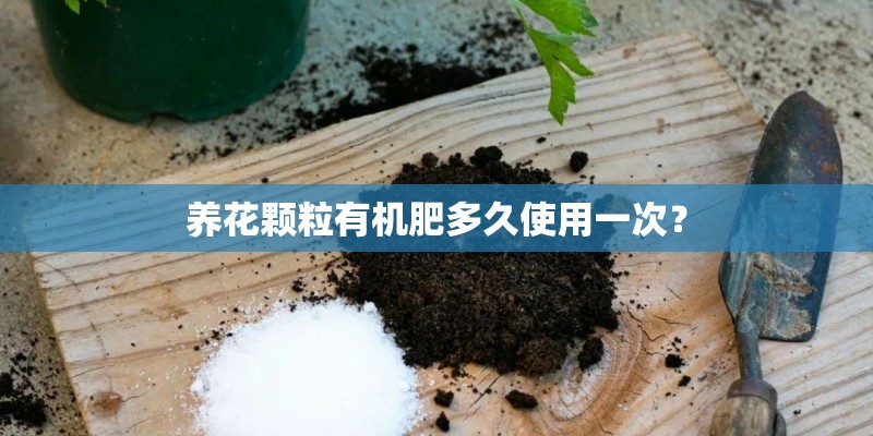 养花颗粒有机肥多久使用一次？