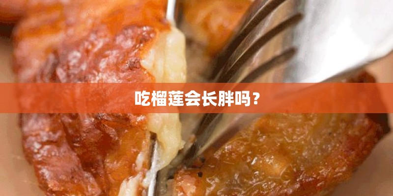 拉萨国产车租车价格