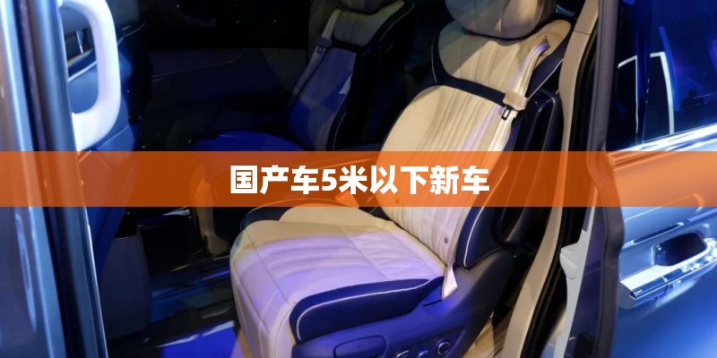 国产车5米以下新车