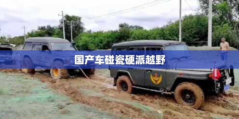 国产车碰瓷硬派越野