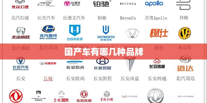 国产车有哪几种品牌