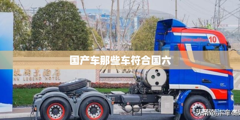国产车那些车符合国六
