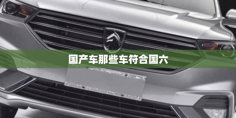 国产车那些车符合国六