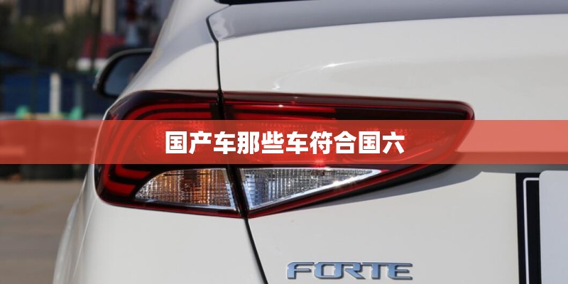 国产车那些车符合国六
