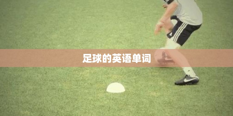 足球的英语单词
