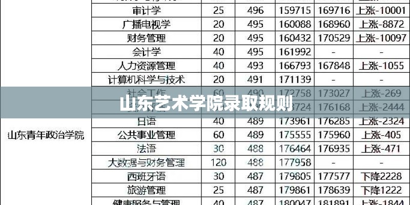 山东艺术学院录取规则