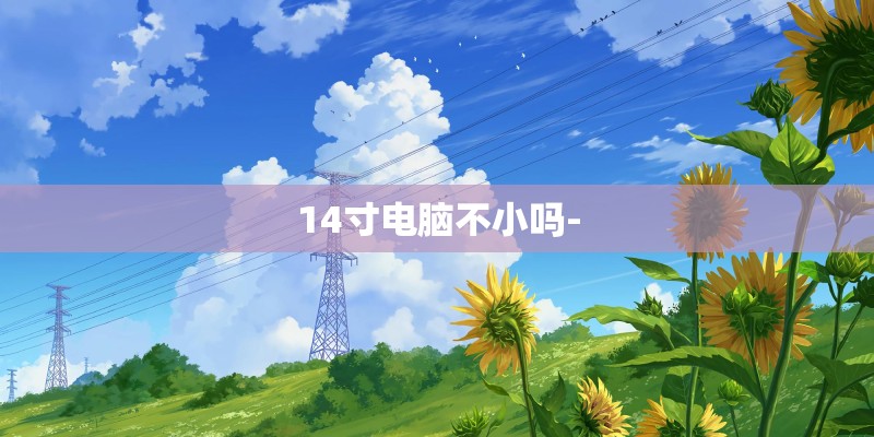 14寸电脑不小吗-