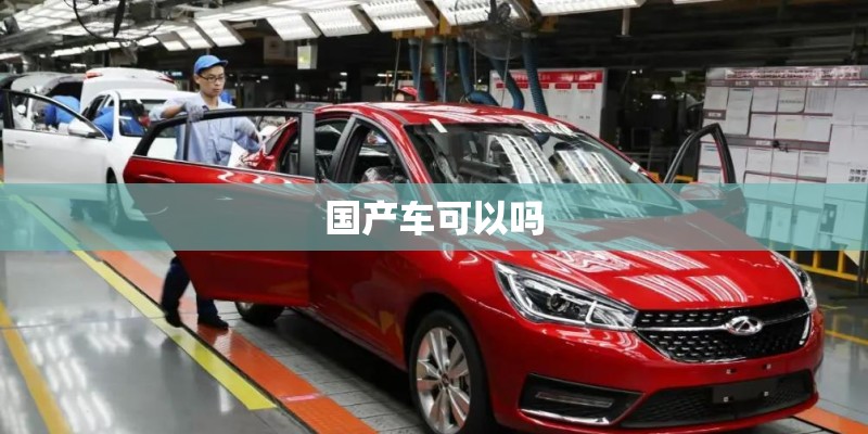 国产车可以吗