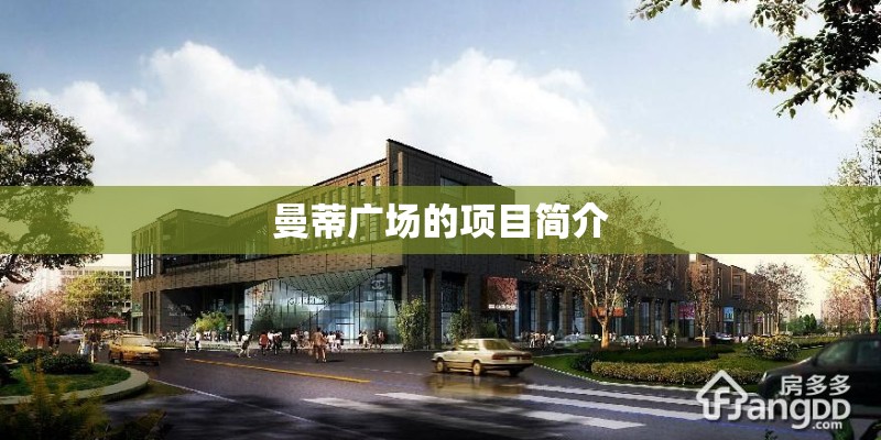 国产车可以吗