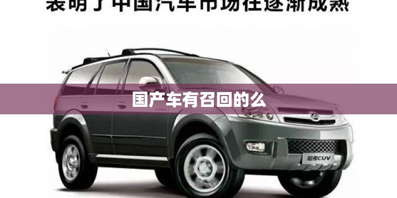 国产车有召回的么