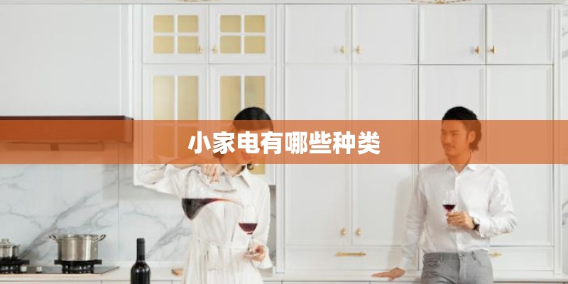小家电有哪些种类
