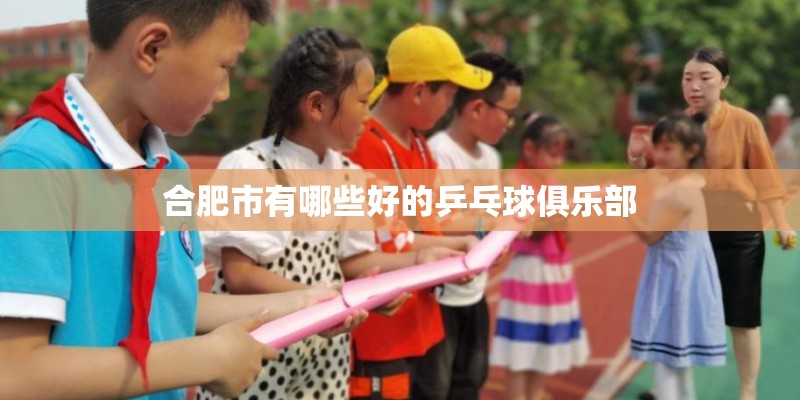 合肥市有哪些好的乒乓球俱乐部