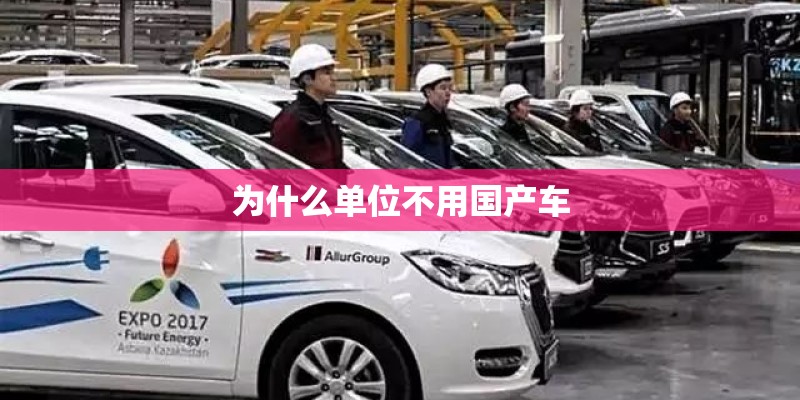 为什么单位不用国产车