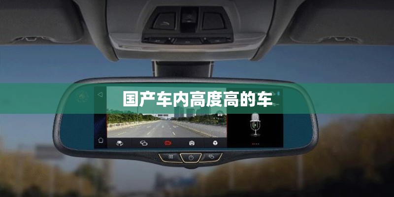 国产车内高度高的车