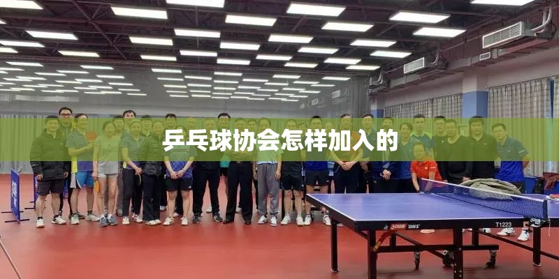 乒乓球协会怎样加入的